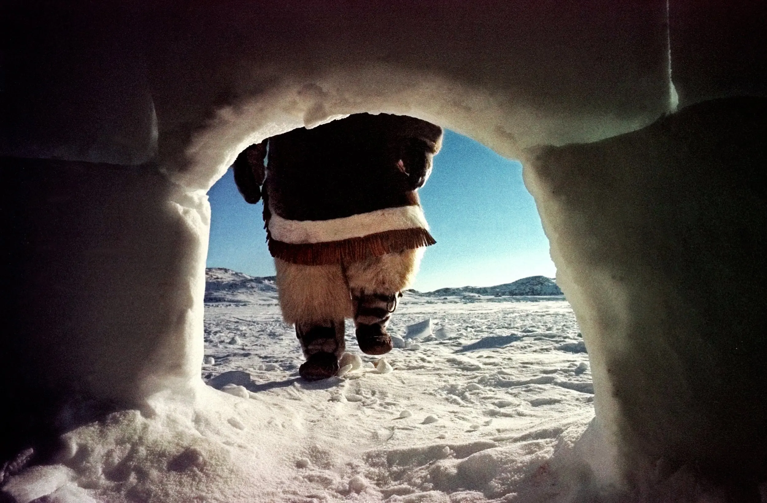 Our Land — Lypa Pitsiulak, an Inuk living on an outpost camp in the Opingivik area of the Nunavut territory, Canada, walks to an 'iglu' (inuktitut for igloo) he constructed on an ice flow several kilometers from his base camp Tuesday afternoon March 2, 1999. Pitsiulak is wearing his 'kamiit' (inuktitut for sealskin boots) and a 'tuktu' (inuktitut for caribou parka.  (AP Photo/Stephan Savoia)  © The Associated Press