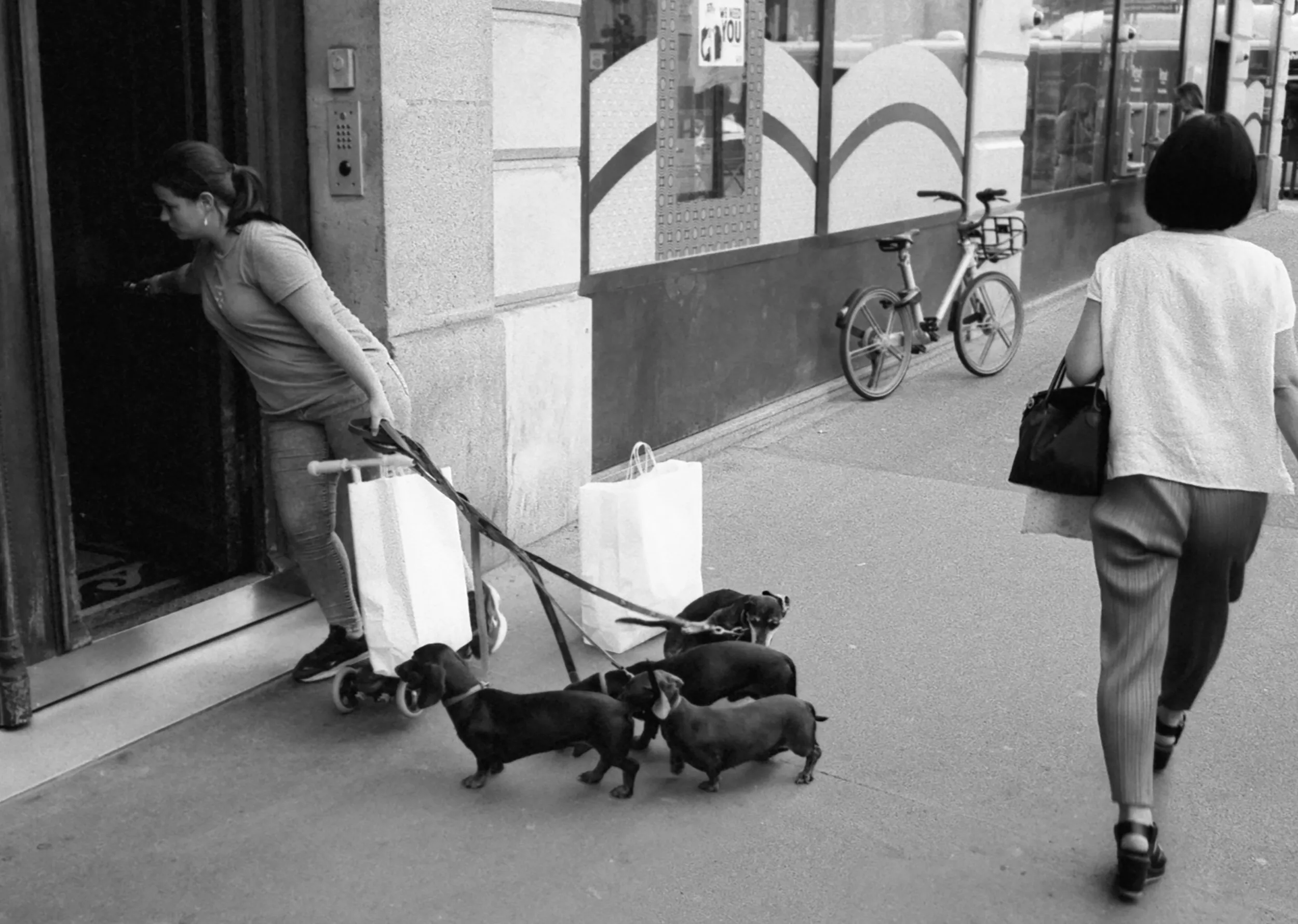 Dog Walker in Paris — A woman who has been walking her dogs on the streets of Paris, France enters her apartment building on a 2019 summer sunny Saturday afternoon.  (Photo by Stephan Savoia)
