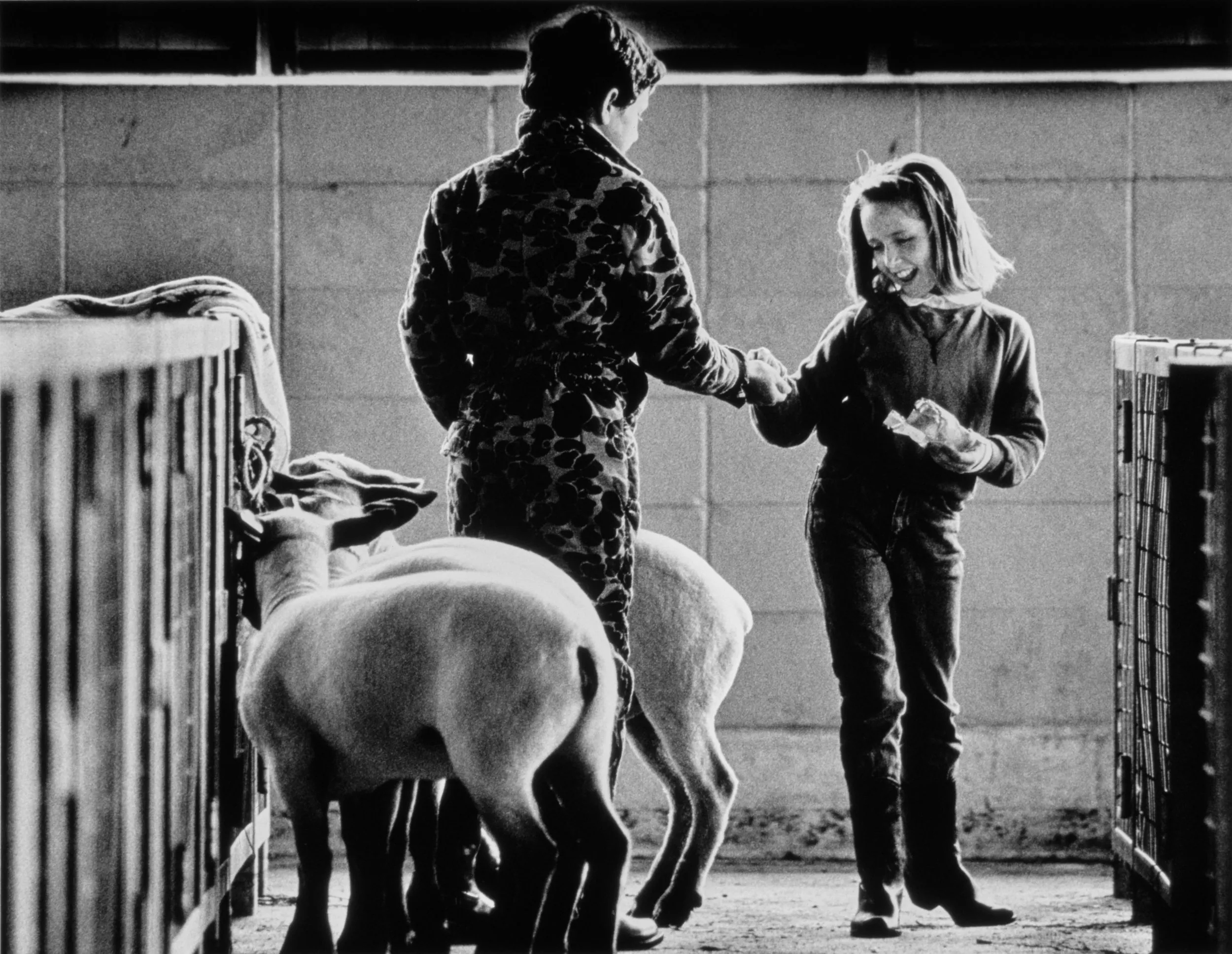 Sharing Candy… With A Boy — Rebekah Bedwell, 10, offers to share her bag of candy corn with Cole Ladner, 13, at the livestock barn on the Louisiana State University campus Thursday afternoon, November 13, 1986. Rebekah and Cole are neighbors from Franklin, Louisiana who are each showing three of her uncle, Bobby Smith’s, sheep at the Block & Bridle Club’s Rodeo and Livestock Show.  (Photo by Stephan Savoia)  Published by The Baton Rouge Louisiana State-Times & Morning Advocate