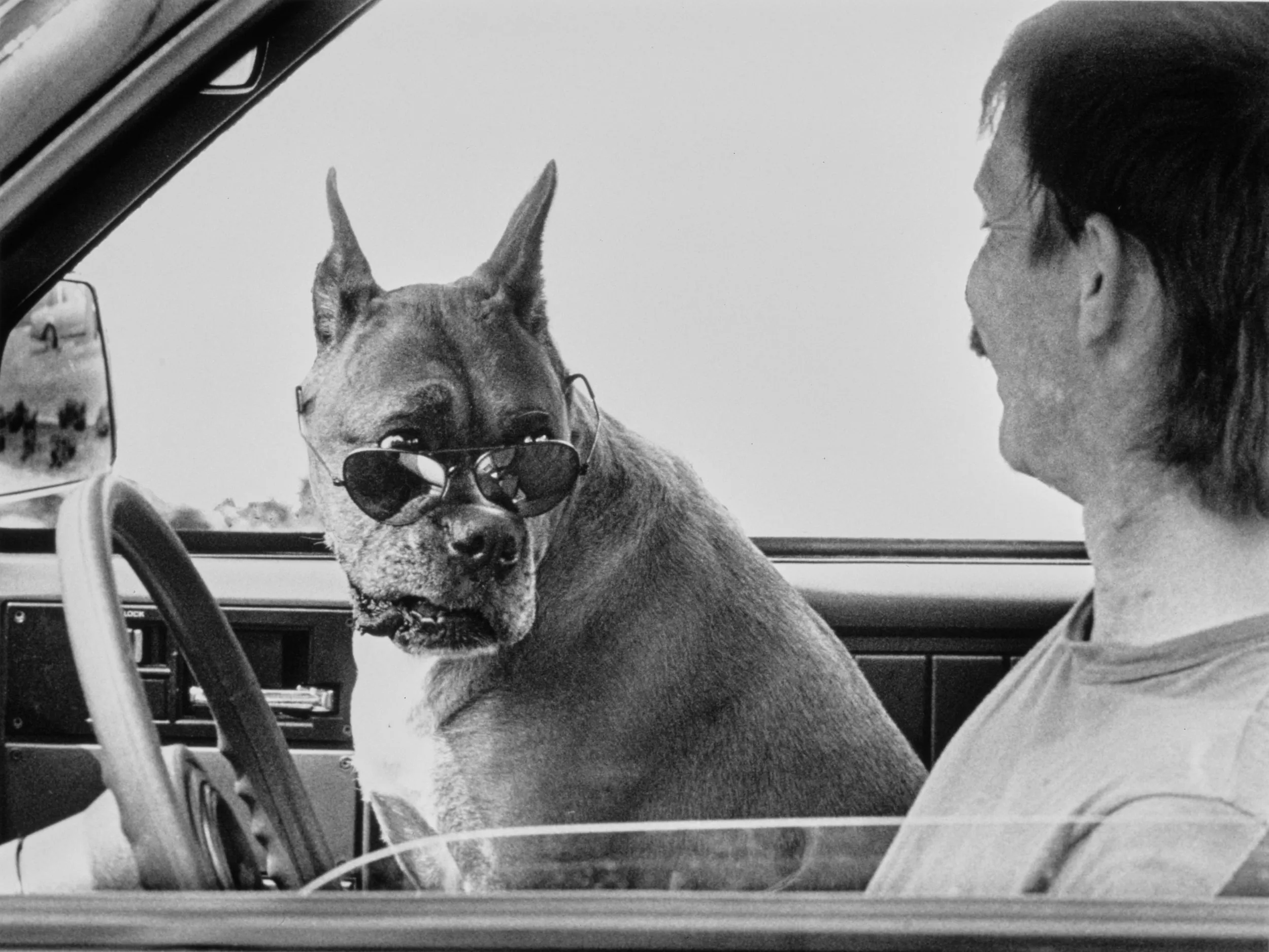 “Maggie - I Think I Got Something To Say To You” — Maggie and her friend / chauffeur Butch Jones, drive along Government Street during a warm and glaring sunlit summer afternoon in Baton Rouge, Louisiana.  (Photo by Stephan Savoia)  Published by The Baton Rouge Louisiana State-Time & Morning Advocate Circa Mid-Late 1980s